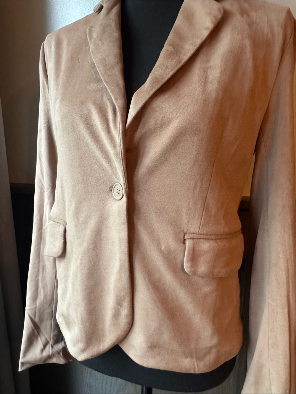 Sincerly Jules Suede One-Button Blazer in Light Brown - Picture 3 of 10